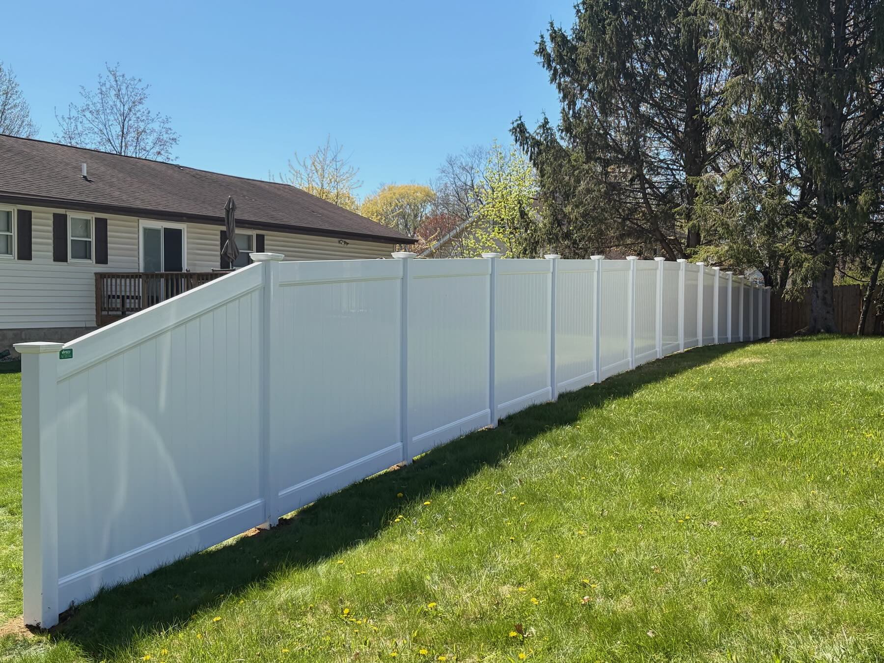 Bald Eagle Fence